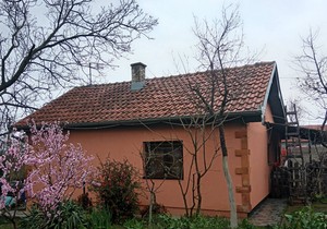 Milomir prodaje kuću i voćnjak