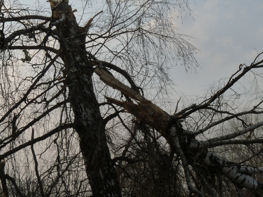 Niepublikowane zdjęcia ze Smoleńska