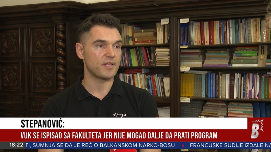 Saša Stepanović, profesor