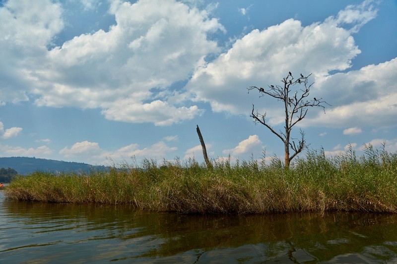 Jezioro Bunyoyi, Uganda