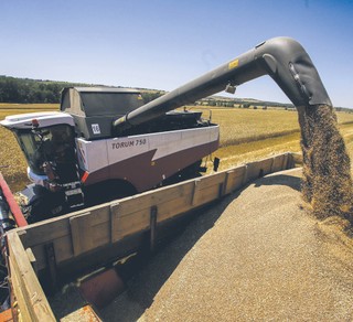 Dobra wiadomość dla konsumentów – globalne ceny żywności spadają