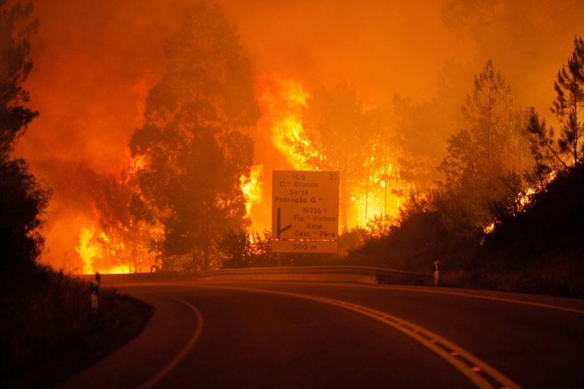 Pożar lasu w Portugalii