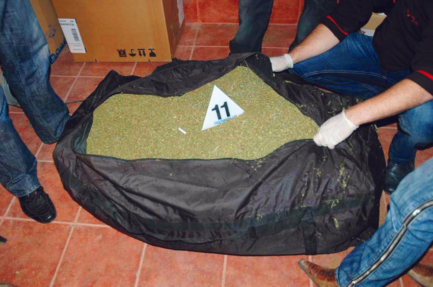 Mića Nikolić optužen za šverc 85 kilograma skanka