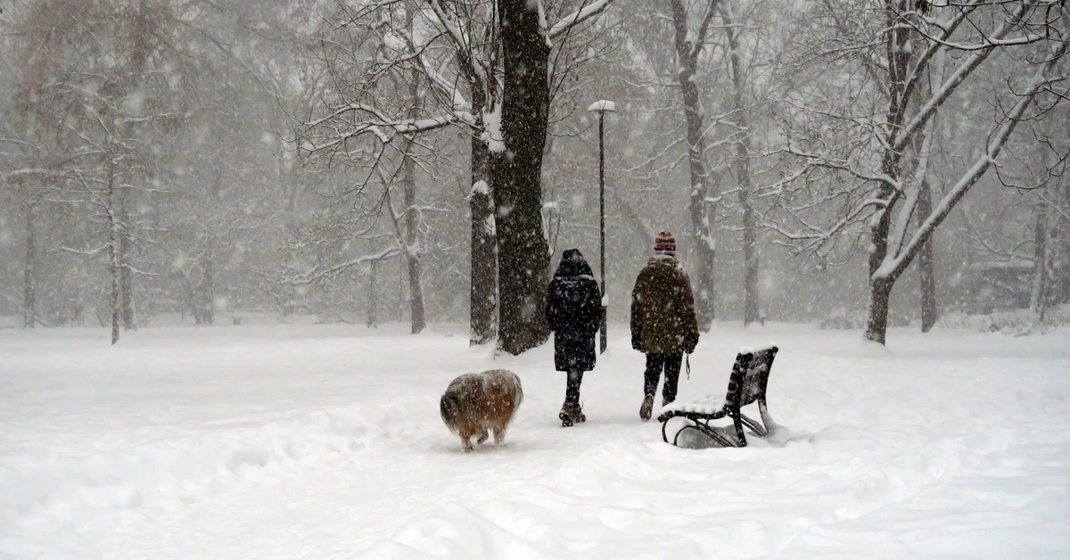 Polska w obliczu ataku zimy! Ostrzeżenie przed intensywnymi opadami śniegu i oblodzeniem. Gdzie spadnie ponad 20 cm śniegu?