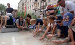 Wyłów sobie bursztyn! Zdobądź certyfikat, wspomóż hospicjum i obejrzyj za darmo Muzeum Bursztynu!