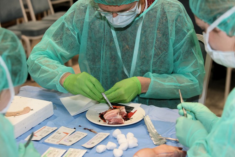 MISTRZOSTWA POLSKI W SZYCIU CHIRURGICZNYM