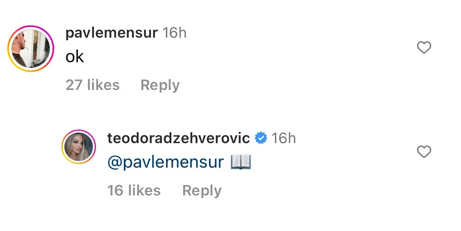 Komentari na slikama Teodore Džehverović