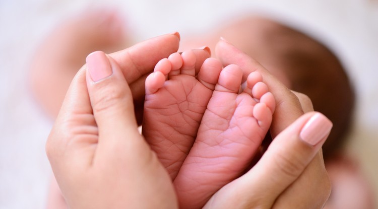 Szabó Ádám és felesége ráfeküdtek a babaprojectre Fotó: Getty Images