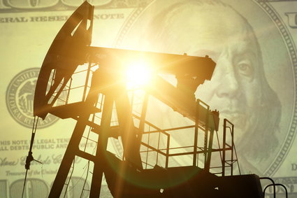 Rekordowa seria spadków cen ropy w USA