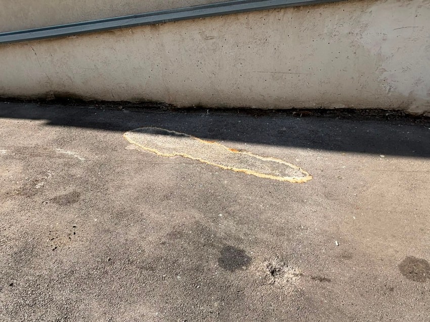Bačena bomba na Zvezdari