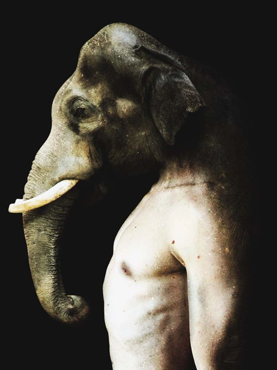 Foto: Francesco Sambo