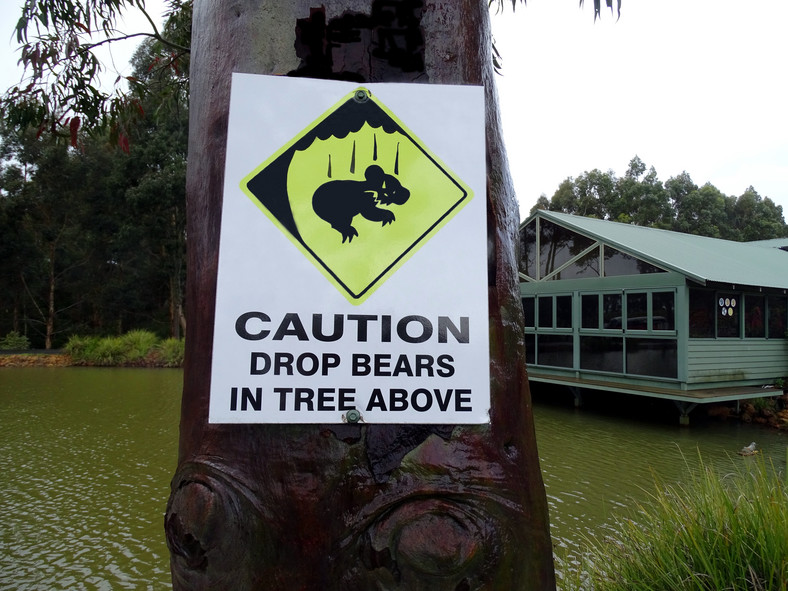 Znak ostrzegający przed "spadającymi niedźwiedziami"