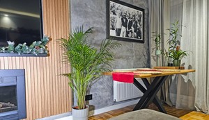 Filip Mitrović stan