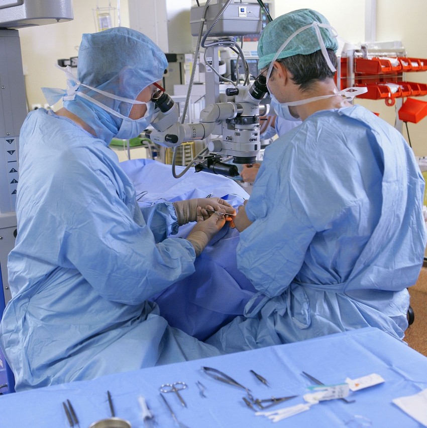 U konkurenciji su bili London, Hajdelberg i Torino