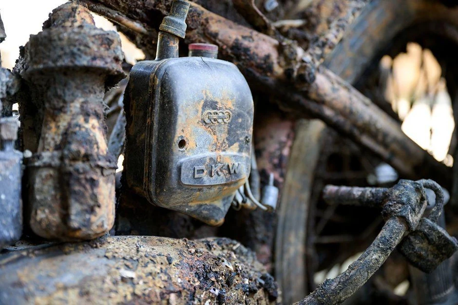 BBC | Foto: Tamas Purger/EPA/Shutterstock