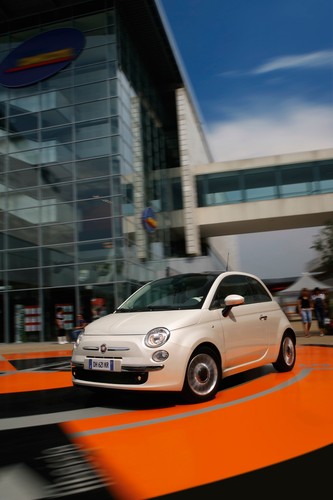 Najlepiej czuje się w mieście