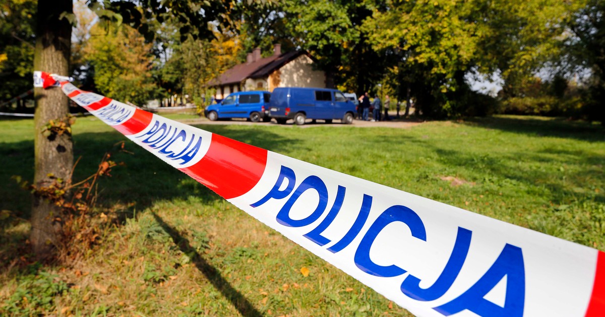 Zeszkieletowane szczątki w Pławidle: Tajemnica śmierci w lesie pod Słubicami