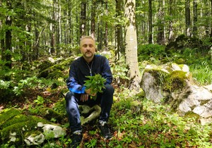 Momčilo Antonijević