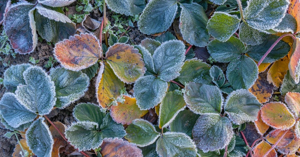 Ciepło już było. Nadciągają mrozy. Tak wygląda najnowsze prognoza pogody
