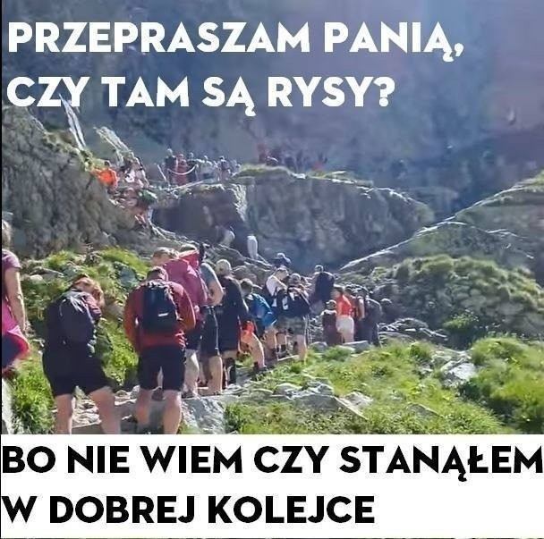 Tydzień w memach