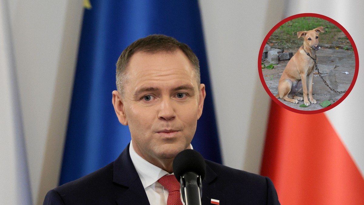 Karol Nawrocki i pies na łańcuchu