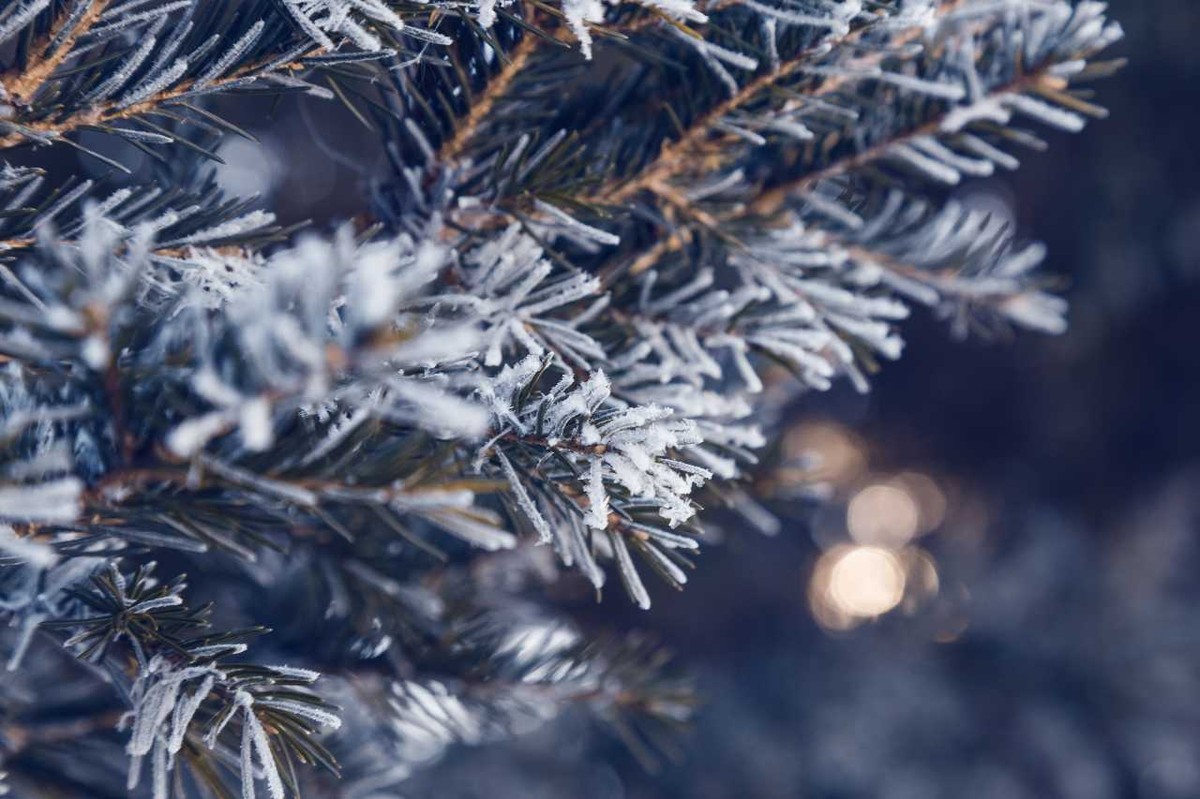 Około minus 20 stopni należy spodziewać się w rejonach podgórskich