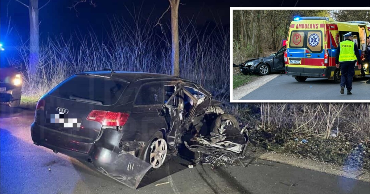 Tragedia pod Żyrardowem: pasażer zginął, kierowca pijany i wolny