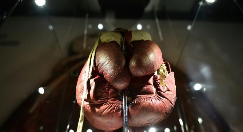 A pair of split boxing gloves worn by Muhammad Ali during his 1963 fight against Henry Cooper -- the British boxer won that bout but lost a susequent fight on points