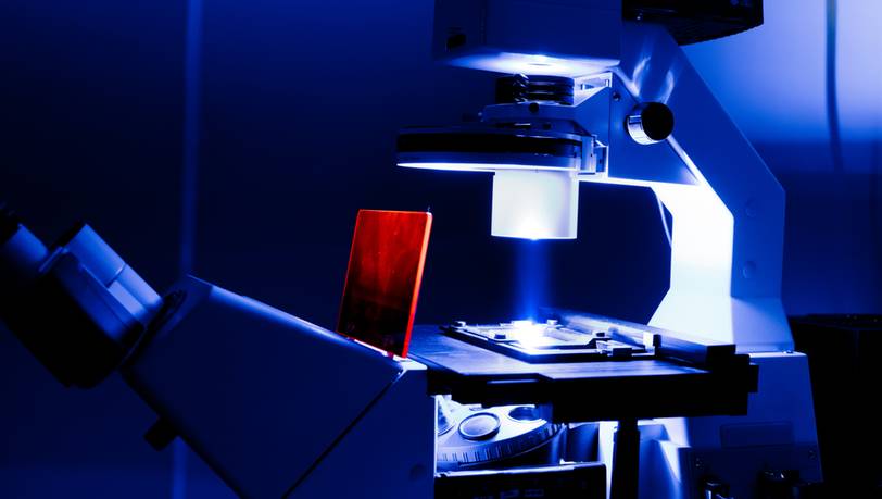 Beliebte Mikroskope mit Durchlicht im Vergleich