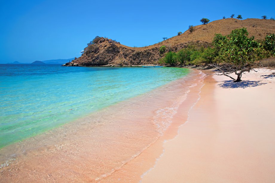 Pink Sand Beach