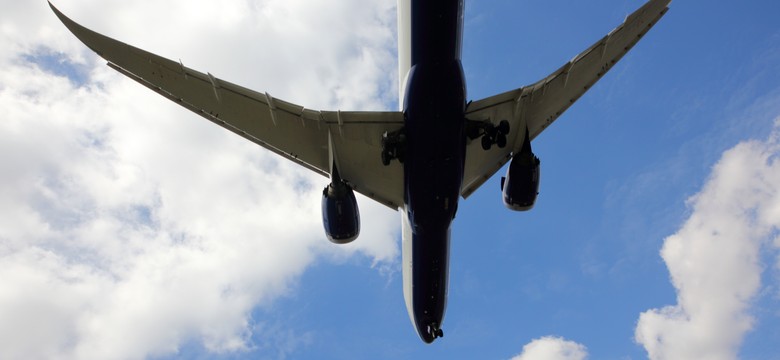 IATA: Linie lotnicze w tym roku zarobią 30,5 mld dol.