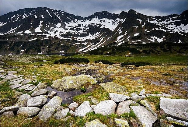 Galeria Polska - Tatry - okolice Doliny Pięciu Stawów, obrazek 19