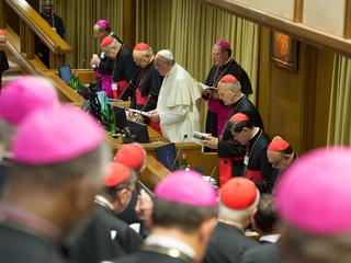 Synod 2014, biskupi, papież,  Franiciszek