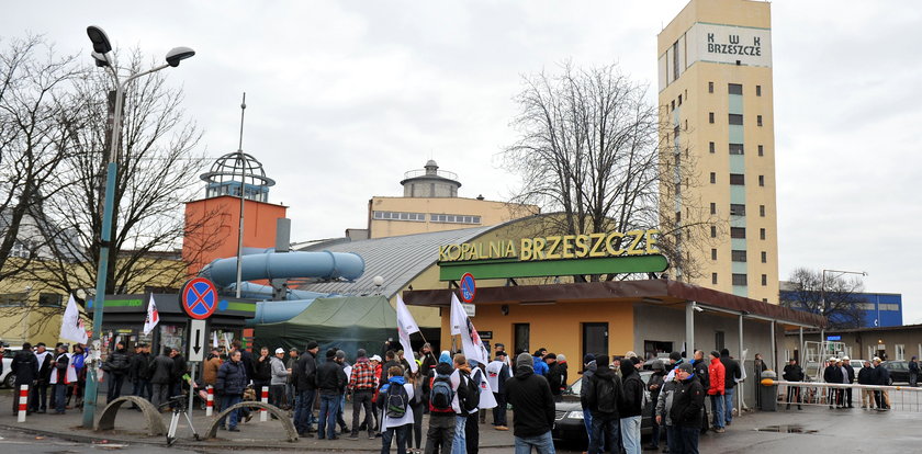 Tauron kupił kopalnie w Brzeszczach