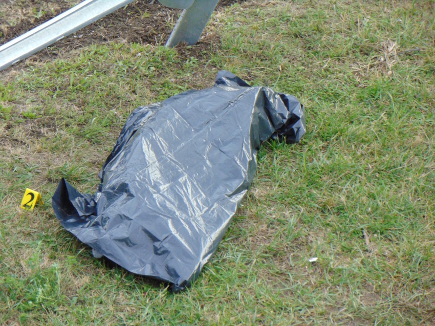 NIS07 Udes na auto putu kod Gornje Trnave troje poginuli osmoro povredjeno foto Branko Janackovic