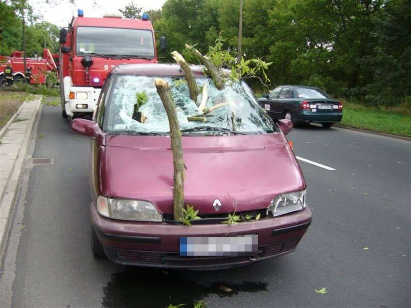 Drzewo przebiło auto! Cudem żyją. FOTO!