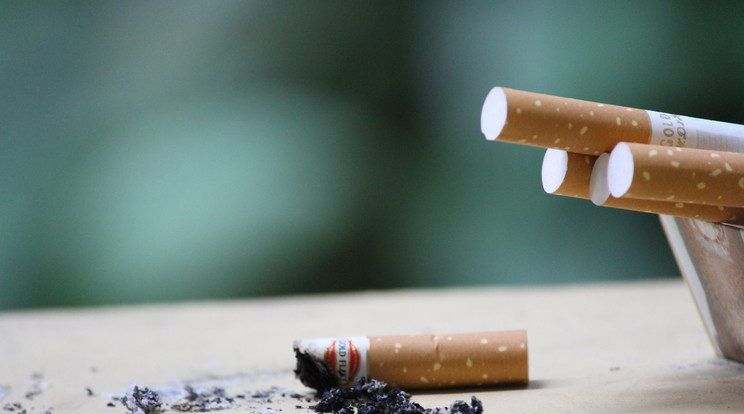 Ezer doboz csempészcigarettával autójában menekült egy sofőr a 21-es úton /Fotó: Pexels