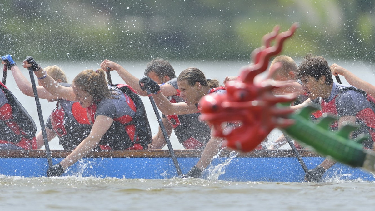 Wyścigi smoczych łodzi to jedna z imprez towarzyszących Elbląskiemu Świętu Chleba. Na wodach rzeki Elbląg rywalizowało dzisiaj piętnaście osad.