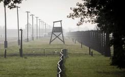 TVP Info: ZDF nie chce przepraszać za 'polskie obozy'. Jest reakcja niemieckiej telewizji