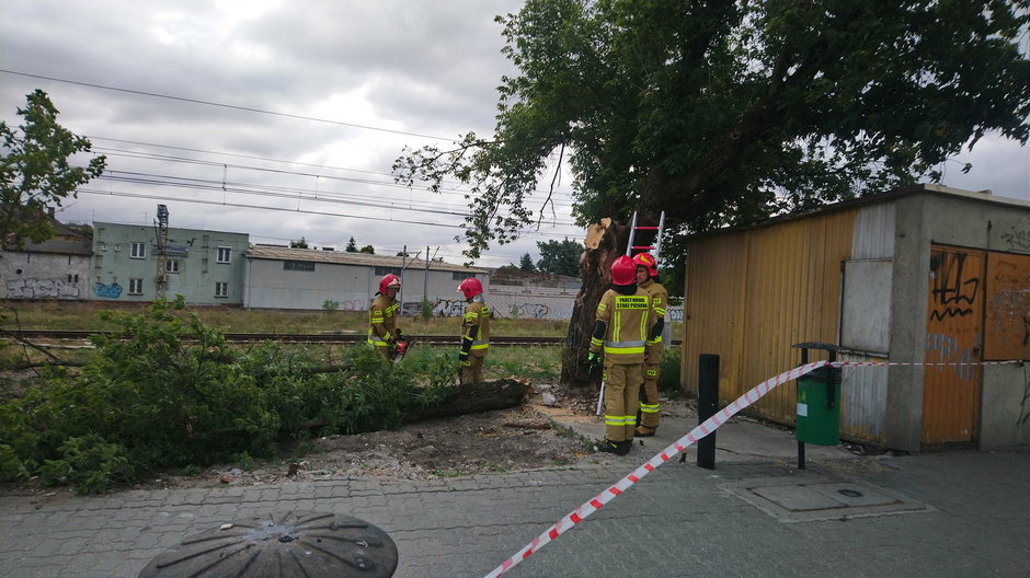 złamany konar na pętli przy ul. Opolskiej fot. straż miejska