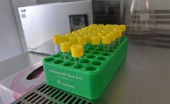 Bank Mleka Kobiecego zaprasza honorowe dawczynie