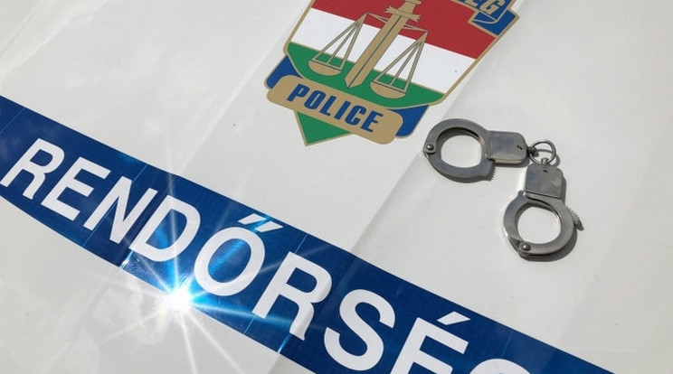 Rendőrökre támadt egy férfi Somogy vármegyében/Fotó: police.hu