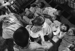 Naukowcy mówią o eksterminacji. Chcą kary ws. "sierocińców grozy"