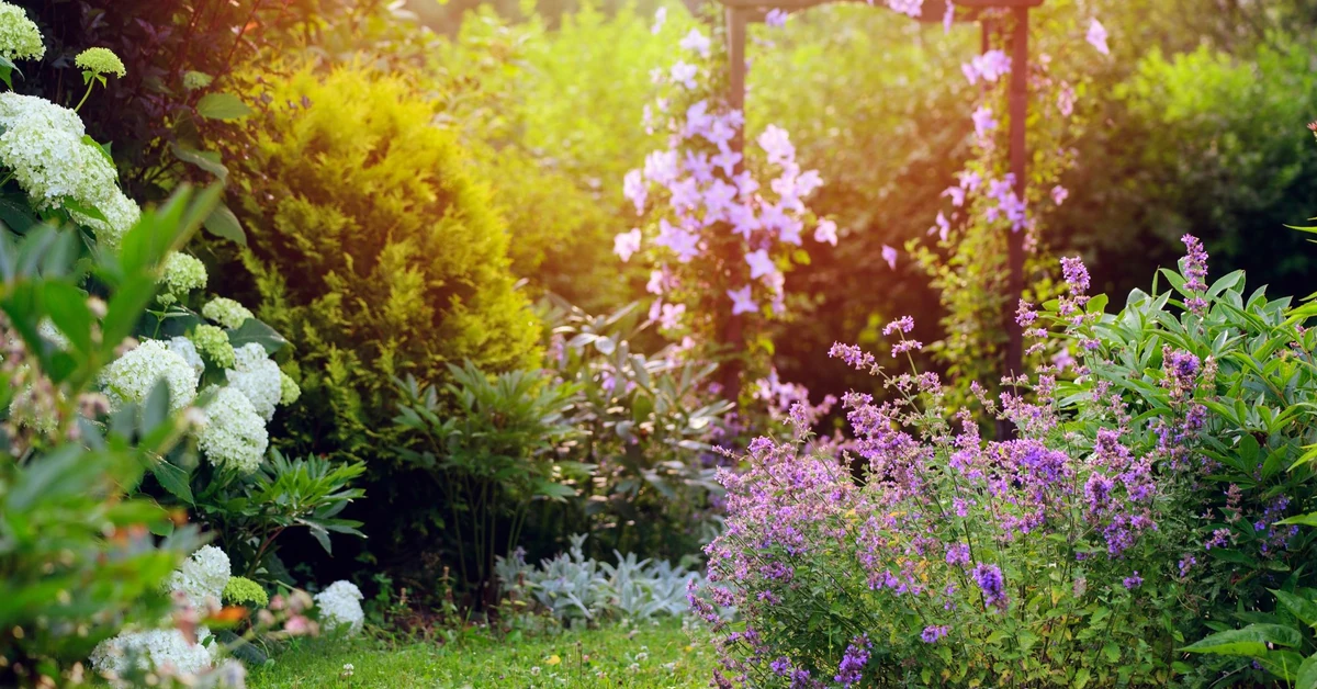 Niewymagające kwiaty do ogrodu - byliny wieloletnie i długo kwitnące. Jakie kwiaty do ogrodu dla początkujących?