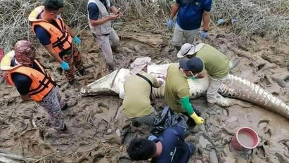 Tragédia: 14 éves fiú maradványait találták meg egy krokodil gyomrában - íme az első fotók