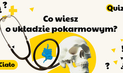 Ile pomieści żołądek człowieka? Sprawdź, co wiesz o swoim układzie pokarmowym! QUIZ