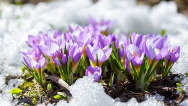 kiedy skończą się mrozy w polsce 2026? kiedy ocieplenie? pogoda długoterminowa imgw prognoza pogody