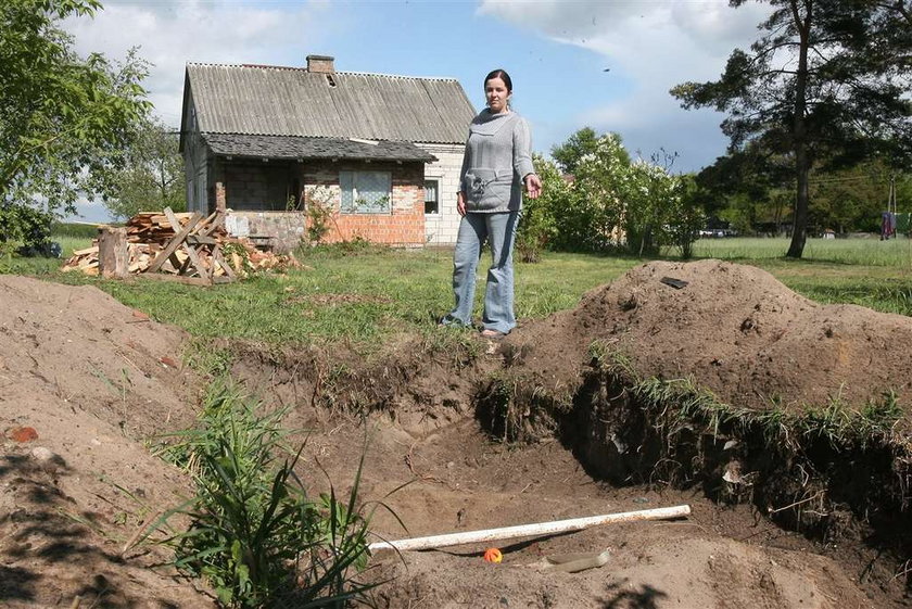 Wykopałam w ogródku poloneza