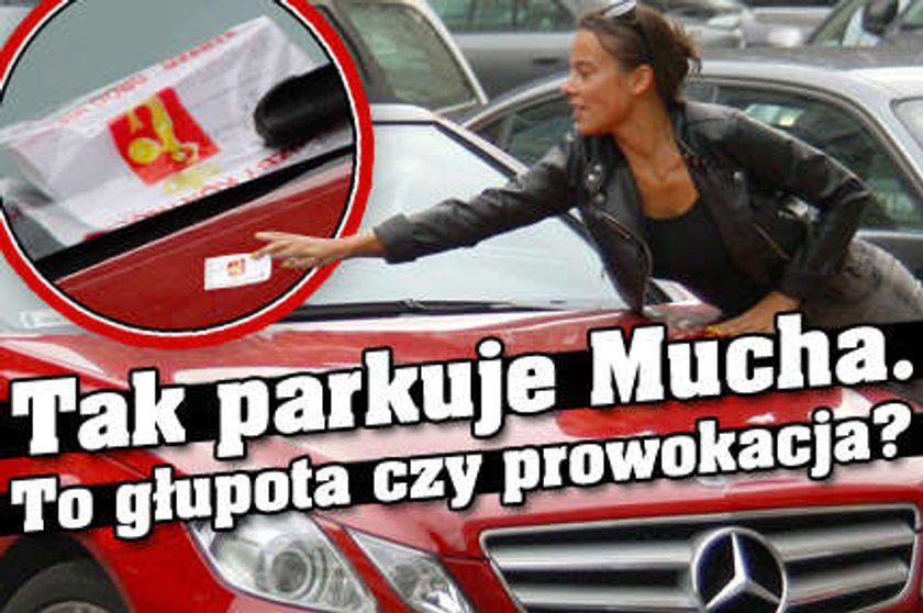 Tak parkuje Mucha. Głupota czy prowokacja?