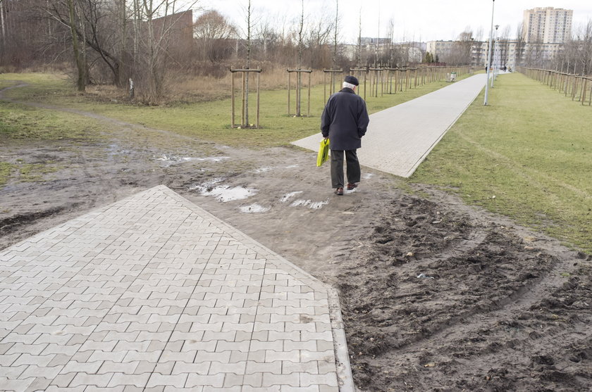 Skanska wybuduje Park Rataje